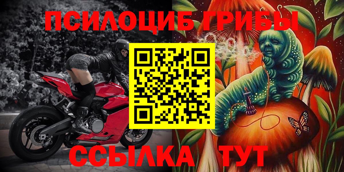 Псилоцибиновые грибы ЛСД Новозыбков
