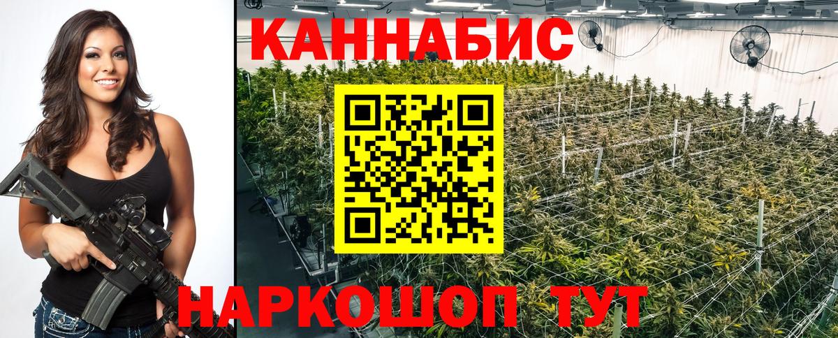 Марихуана планчик  Вход с VPN  Бошки марихуана Bruce Banner  Новозыбков 